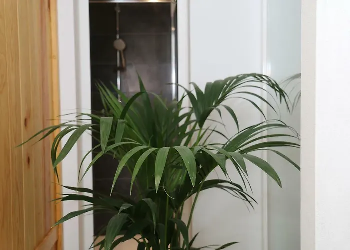 Valeria * بويرتو ذيل كارمين